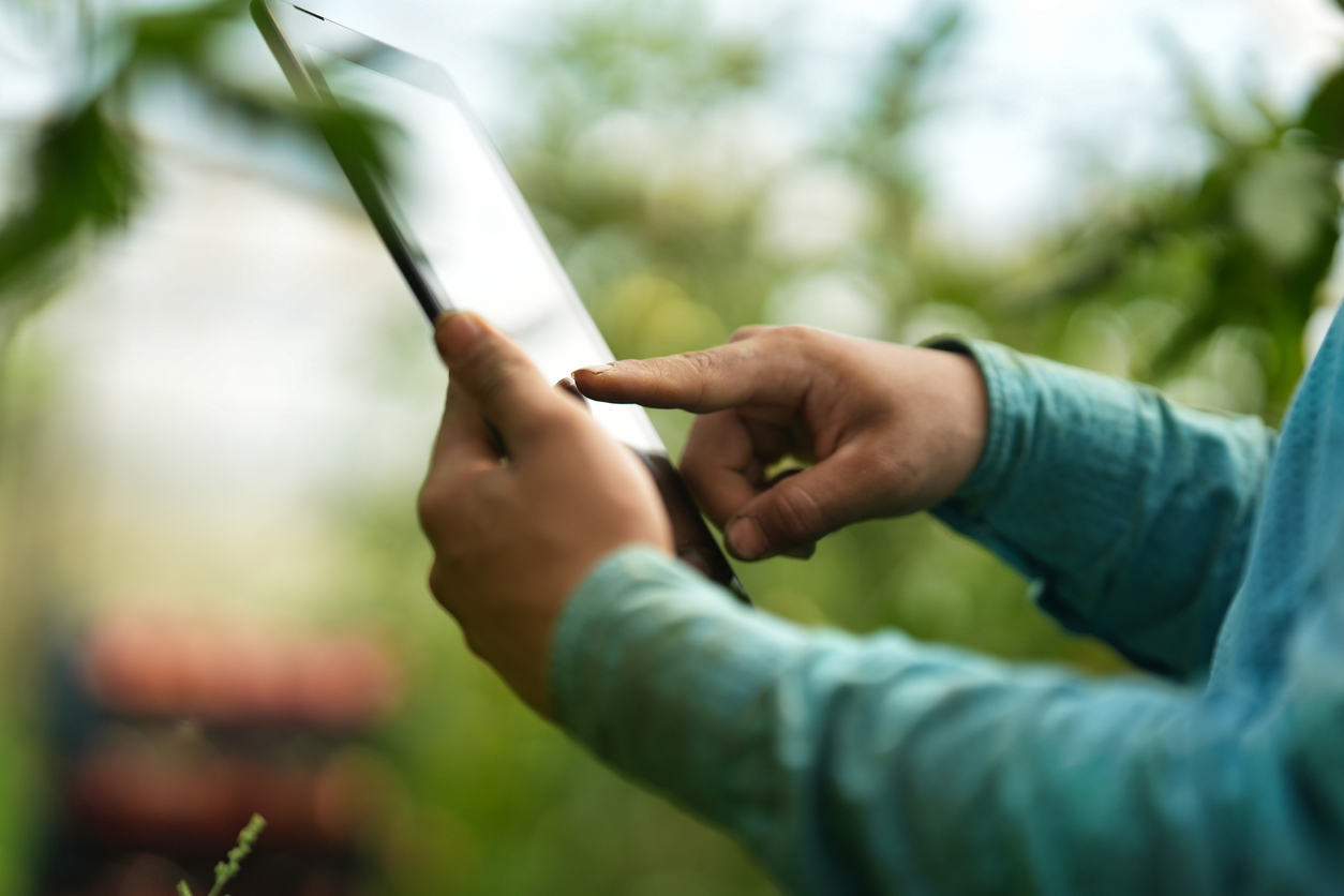 person using a tablet in nature