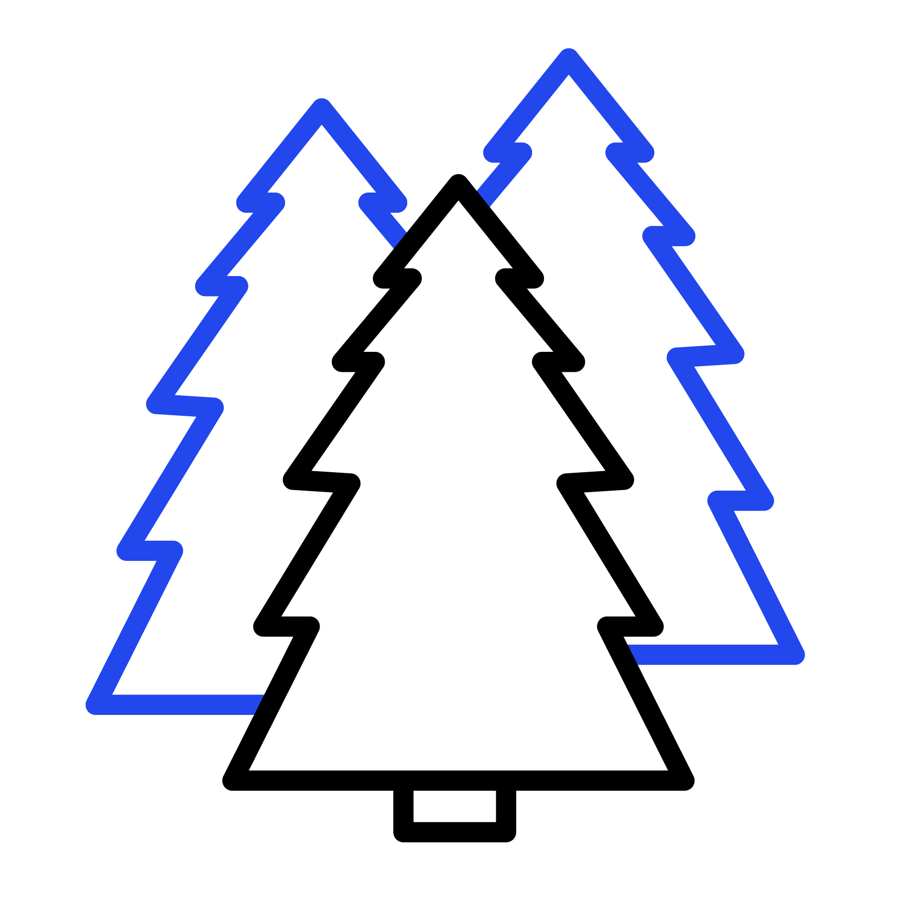 pine trees