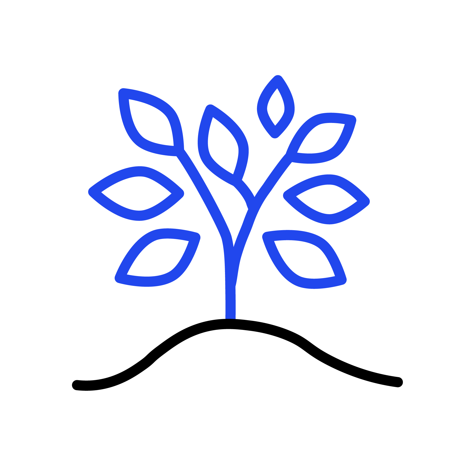 tree