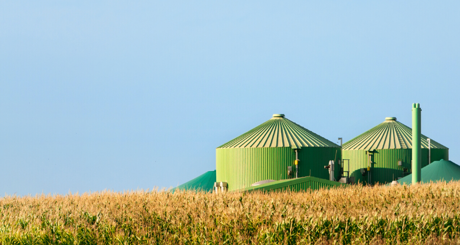 Biomass plant behind a corn field