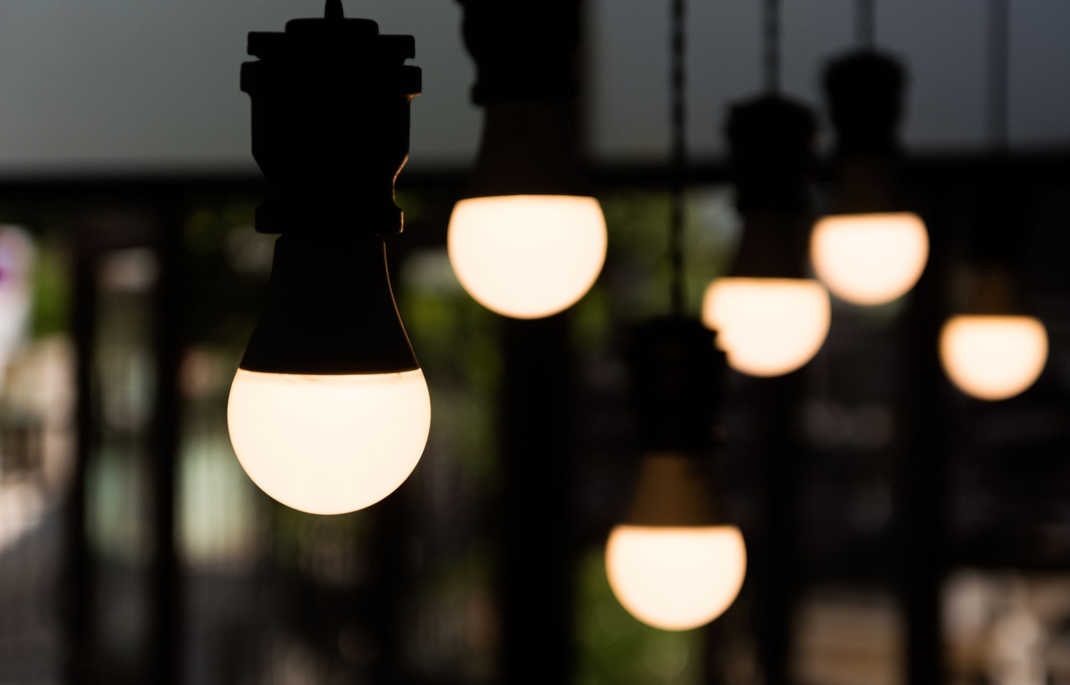 picture of hanging light bulbs