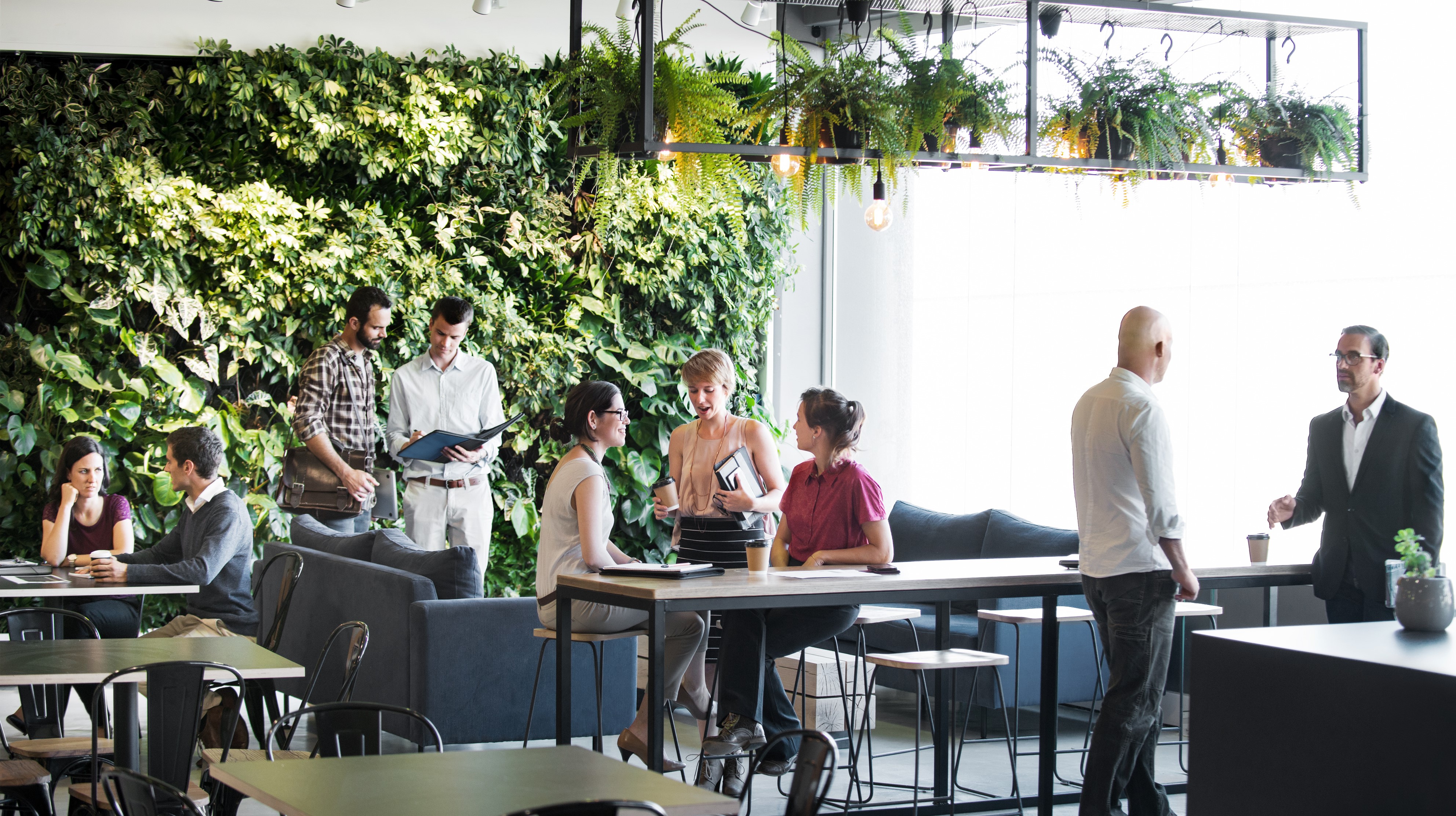 group of people working in an office in front of a vertical green living wall with lights hanging from the ceiling