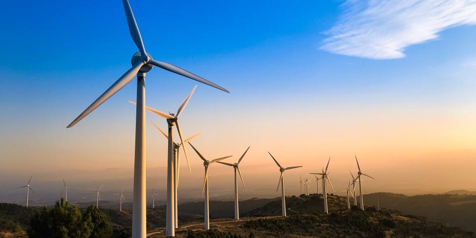 TransitionZero to partner on the Carbon Trust's Greenprint initiative - a systems level approach to decarbonising emerging and developing economies