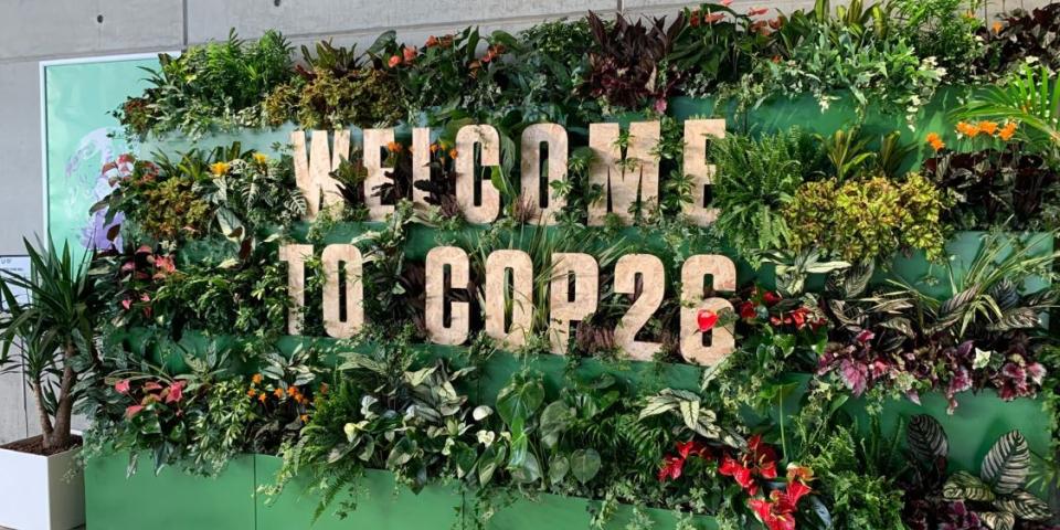 COP26 display