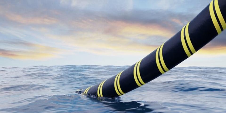 a black and yellow striped cable in the sea