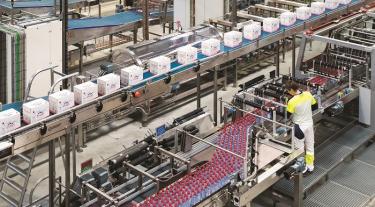 View of the Danone factory showing hundreds of bottles being processed and boxed