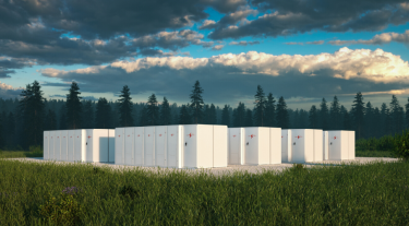 Eco friendly battery energy storage system in nature 