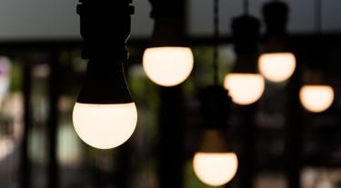 picture of hanging light bulbs