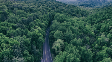 view from above of a road with forests either side