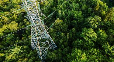 Electricity pylon surrounded by trees