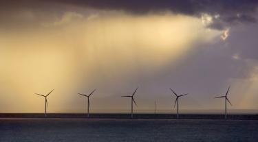 five offshore wind turbines at dusk