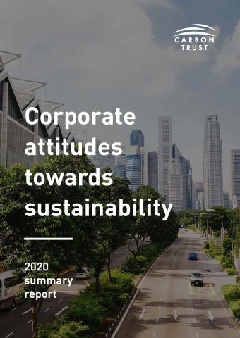 Corporate attitudes towards sustainability cover