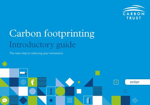 Carbon footprinting introductory guide