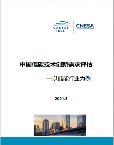 China CNESA report cover