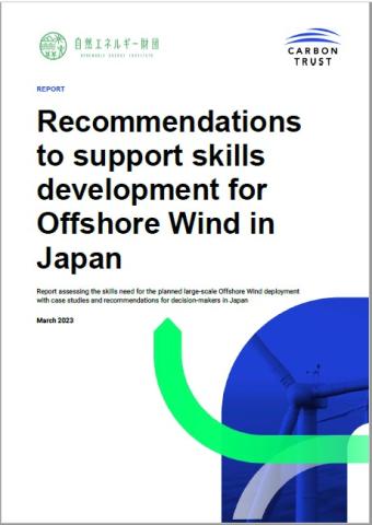 Recommendations report cover