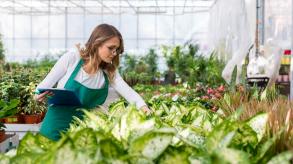 Woman in greenhouse